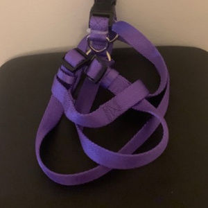 Dog Harness (M)